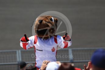 World © Octane Photographic Ltd. Formula 1 – Canadian GP - Practice 2. Atmosphere - Groundhog. Circuit Gilles Villeneuve, Montreal, Canada. Friday 8th June 2018.