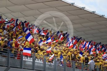 World © Octane Photographic Ltd. Formula 1 – French GP - Grid. Circuit Paul Ricard, Le Castellet, France. Sunday 24th June 2018.
