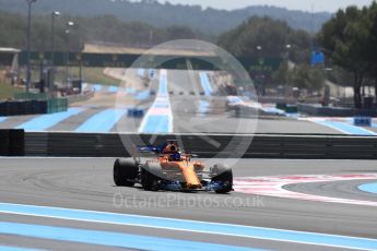 World © Octane Photographic Ltd. Formula 1 – French GP - Practice 1. McLaren MCL33 – Fernando Alonso. Circuit Paul Ricard, Le Castellet, France. Friday 22nd June 2018.