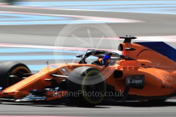 World © Octane Photographic Ltd. Formula 1 – French GP - Practice 2. McLaren MCL33 – Fernando Alonso. Circuit Paul Ricard, Le Castellet, France. Friday 22nd June 2018.