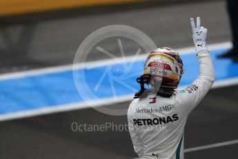 World © Octane Photographic Ltd. Formula 1 – French GP - Qualifying. Mercedes AMG Petronas Motorsport AMG F1 W09 EQ Power+ - Lewis Hamilton. Circuit Paul Ricard, Le Castellet, France. Saturday 23rd June 2018.