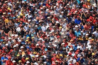 World © Octane Photographic Ltd. Formula 1 – French GP - Race. Fans. Circuit Paul Ricard, Le Castellet, France. Sunday 24th June 2018.