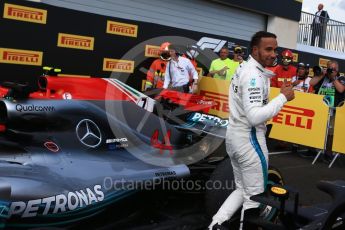 World © Octane Photographic Ltd. Formula 1 – French GP - Race Podium. Mercedes AMG Petronas Motorsport AMG F1 W09 EQ Power+ - Lewis Hamilton. Circuit Paul Ricard, Le Castellet, France. Sunday 24th June 2018.