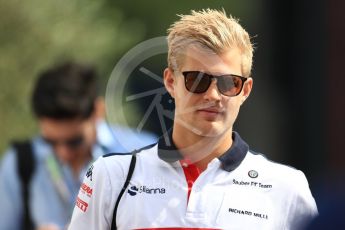 World © Octane Photographic Ltd. Formula 1 – French GP - Paddock. Alfa Romeo Sauber F1 Team C37 – Marcus Ericsson. Circuit Paul Ricard, Le Castellet, France. Saturday 23rd June 2018.