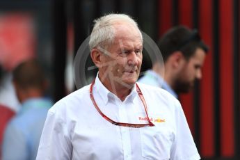 World © Octane Photographic Ltd. Formula 1 - French GP - Paddock. Helmut Marko - advisor to the Red Bull GmbH Formula One Teams and head of Red Bull's driver development program. Circuit Paul Ricard, Le Castellet, France. Saturday 23rd June 2018.