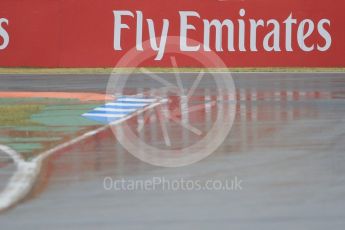 World © Octane Photographic Ltd. Formula 1 – German GP - Practice 3. Wet Circuit. Hockenheimring, Baden-Wurttemberg, Germany. Saturday 21st July 2018.