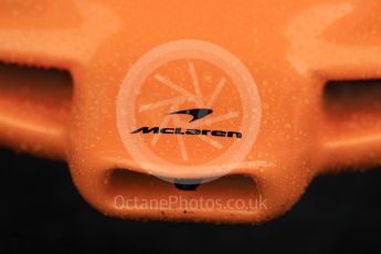 World © Octane Photographic Ltd. Formula 1 – German GP - Practice 3. McLaren MCL33. Hockenheimring, Baden-Wurttemberg, Germany. Saturday 21st July 2018.