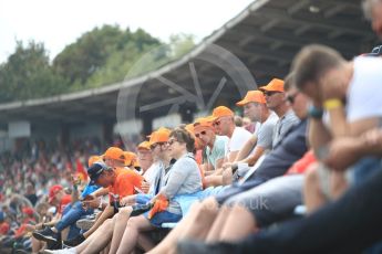 World © Octane Photographic Ltd. Formula 1 – German GP - Qualifying. Max Verstappen fans in the grandstands. Hockenheimring, Baden-Wurttemberg, Germany. Saturday 21st July 2018.