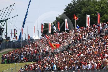 World © Octane Photographic Ltd. Formula 1 – Hungarian GP - Race. Fans at Turn 1. Hungaroring, Budapest, Hungary. Sunday 29th July 2018.