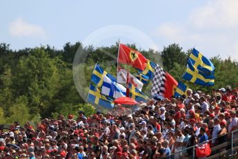 World © Octane Photographic Ltd. Formula 1 – Hungarian GP - Race. Fans at Turn 1. Hungaroring, Budapest, Hungary. Sunday 29th July 2018.