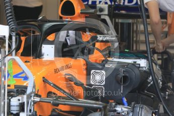World © Octane Photographic Ltd. Formula 1 – Hungarian GP - Morning setup. McLaren MCL33. Hungaroring, Budapest, Hungary. Saturday 28th July 2018.