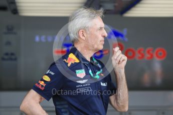 World © Octane Photographic Ltd. Formula 1 – Hungarian GP - Morning setup. Aston Martin Red Bull Racing – Charlie. Hungaroring, Budapest, Hungary. Saturday 28th July 2018.