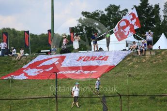 World © Octane Photographic Ltd. Formula 1 – Hungarian GP - Practice 2. Forza Robert flags. Hungaroring, Budapest, Hungary. Friday 27th July 2018.