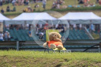 World © Octane Photographic Ltd. Formula 1 – Hungarian GP - Practice 2. Mr Bear. Hungaroring, Budapest, Hungary. Friday 27th July 2018.