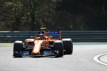 World © Octane Photographic Ltd. Formula 1 – Hungarian GP - Practice 2. McLaren MCL33 – Stoffel Vandoorne. Hungaroring, Budapest, Hungary. Friday 27th July 2018.