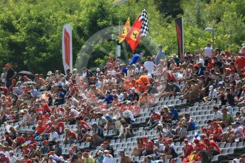 World © Octane Photographic Ltd. Formula 1 – Hungarian GP - Practice 3. Fans in the T1 grandstand. Hungaroring, Budapest, Hungary. Saturday 28th July 2018.