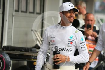 World © Octane Photographic Ltd. Formula 1 – Hungarian GP - Qualifying. Mercedes AMG Petronas Motorsport AMG F1 W09 EQ Power+ - Lewis Hamilton. Hungaroring, Budapest, Hungary. Saturday 28th July 2018.