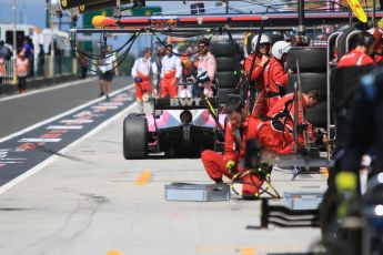 World © Octane Photographic Ltd. FIA Formula 2 (F2) – Hungarian GP - Race 2. BWT Arden - Maximilian Gunther. Hungaroring, Budapest, Hungary. Sunday 29th July 2018.