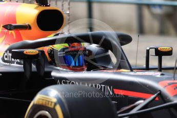 World © Octane Photographic Ltd. Formula 1 – Hungarian Post-Race Test - Day 2. Aston Martin Red Bull Racing TAG Heuer RB14 – Jake Dennis. Hungaroring, Budapest, Hungary. Wednesday 1st August 2018.