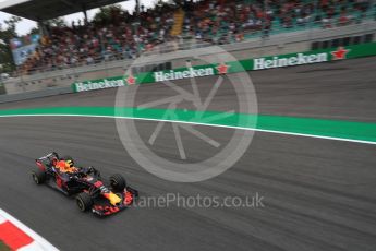 World © Octane Photographic Ltd. Formula 1 – Italian GP - Practice 2. Aston Martin Red Bull Racing TAG Heuer RB14 – Max Verstappen. Autodromo Nazionale di Monza, Monza, Italy. Friday 31st August 2018.