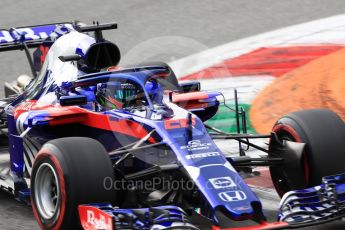 World © Octane Photographic Ltd. Formula 1 – Italian GP - Qualifying. Scuderia Toro Rosso STR13 – Brendon Hartley. Autodromo Nazionale di Monza, Monza, Italy. Saturday 1st September 2018.