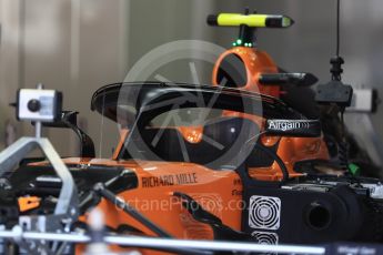 World © Octane Photographic Ltd. Formula 1 – Italian GP - Track Walk. McLaren MCL33. Autodromo Nazionale di Monza, Monza, Italy. Thursday 30th August 2018.