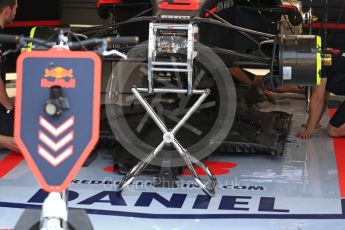 World © Octane Photographic Ltd. Formula 1 – Italian GP - Track Walk. Aston Martin Red Bull Racing TAG Heuer RB14. Autodromo Nazionale di Monza, Monza, Italy. Thursday 30th August 2018.