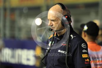 World © Octane Photographic Ltd. Formula 1 – Singapore GP - Grid. Adrian Newey. Marina Bay Street Circuit, Singapore. Sunday 16th September 2018.