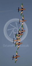 World © Octane Photographic Ltd. UAE Al Fursan (The Knights) Air Display Team – Aermacchi MB-339A. Saturday 30th November 2019, F1 Abu Dhabi GP - Yas Marina circuit, Abu Dhabi, UAE.