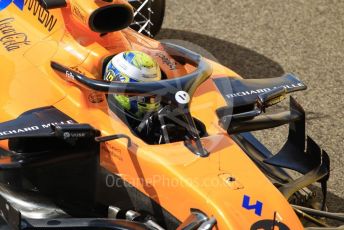 World © Octane Photographic Ltd. Formula 1 – Abu Dhabi GP - Practice 1. McLaren MCL34 – Lando Norris. Yas Marina Circuit, Abu Dhabi, UAE. Friday 29th November 2019.