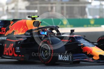 World © Octane Photographic Ltd. Formula 1 – Abu Dhabi GP - Practice 1. Aston Martin Red Bull Racing RB15 – Alexander Albon. Yas Marina Circuit, Abu Dhabi, UAE. Friday 29th November 2019.