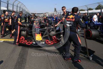 World © Octane Photographic Ltd. Formula 1 – Australian GP Grid. Aston Martin Red Bull Racing RB15 – Max Verstappen. Melbourne, Australia. Sunday 17th March 2019.