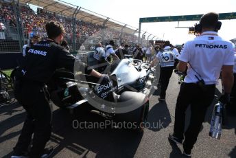 World © Octane Photographic Ltd. Formula 1 – Australian GP Grid. Mercedes AMG Petronas Motorsport AMG F1 W10 EQ Power+ - Lewis Hamilton. Melbourne, Australia. Sunday 17th March 2019.