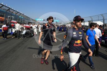 World © Octane Photographic Ltd. Formula 1 – Australian GP Grid. Aston Martin Red Bull Racing RB15 – Pierre Gasly. Melbourne, Australia. Sunday 17th March 2019.