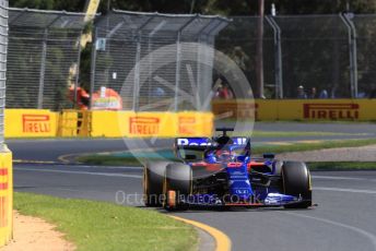 World © Octane Photographic Ltd. Formula 1 – Australian GP Practice 1. Scuderia Toro Rosso STR14 – Daniil Kvyat. Friday 15th Melbourne, Australia. Friday 15th March 2019.