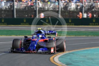World © Octane Photographic Ltd. Formula 1 – Australian GP Practice 2. Scuderia Toro Rosso STR14 – Alexander Albon. Friday 15th Melbourne, Australia. Friday 15th March 2019.