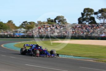 World © Octane Photographic Ltd. Formula 1 – Australian GP Practice 2. Scuderia Toro Rosso STR14 – Alexander Albon. Friday 15th Melbourne, Australia. Friday 15th March 2019.