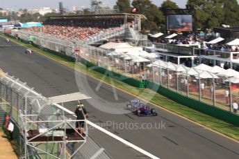 World © Octane Photographic Ltd. Formula 1 – Australian GP Race. Scuderia Toro Rosso STR14 – Alexander Albon. Melbourne, Australia. Sunday 17th March 2019.