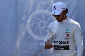 World © Octane Photographic Ltd. Formula 1 – Australian GP FIA Driver photo call. Mercedes AMG Petronas Motorsport AMG F1 W10 EQ Power+ - Lewis Hamilton. Thursday 14th Melbourne, Australia. Thursday 14th March 2019.