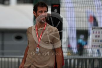 World © Octane Photographic Ltd. Formula 1 – British GP - Paddock. Mark Webber Silverstone Circuit, Towcester, Northamptonshire. Friday 12th July 2019.