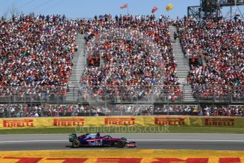 World © Octane Photographic Ltd. Formula 1 – Canadian GP. Race. Scuderia Toro Rosso STR14 – Daniil Kvyat. Circuit de Gilles Villeneuve, Montreal, Canada. Sunday 9th June 2019.