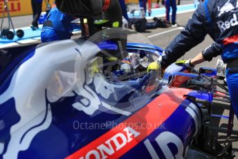 World © Octane Photographic Ltd. Formula 1 – French GP. Grid. Scuderia Toro Rosso STR14 – Alexander Albon. Paul Ricard Circuit, La Castellet, France. Sunday 23rd June 2019.