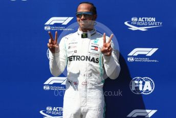 World © Octane Photographic Ltd. Formula 1 – French GP. Qualifying. Mercedes AMG Petronas Motorsport AMG F1 W10 EQ Power+ - Lewis Hamilton. Paul Ricard Circuit, La Castellet, France. Saturday 22nd June 2019.