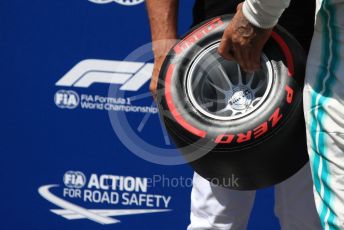 World © Octane Photographic Ltd. Formula 1 – French GP. Qualifying. Mercedes AMG Petronas Motorsport AMG F1 W10 EQ Power+ - Lewis Hamilton and . Paul Ricard Circuit, La Castellet, France. Saturday 22nd June 2019.