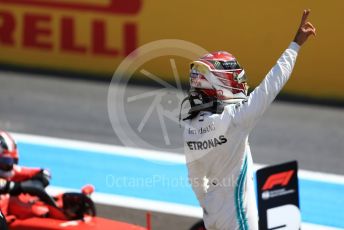 World © Octane Photographic Ltd. Formula 1 – French GP. Qualifying. Mercedes AMG Petronas Motorsport AMG F1 W10 EQ Power+ - Lewis Hamilton. Paul Ricard Circuit, La Castellet, France. Saturday 22nd June 2019.