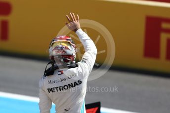 World © Octane Photographic Ltd. Formula 1 – French GP. Qualifying. Mercedes AMG Petronas Motorsport AMG F1 W10 EQ Power+ - Lewis Hamilton. Paul Ricard Circuit, La Castellet, France. Saturday 22nd June 2019.