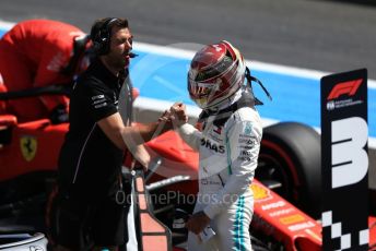 World © Octane Photographic Ltd. Formula 1 – French GP. Qualifying. Mercedes AMG Petronas Motorsport AMG F1 W10 EQ Power+ - Lewis Hamilton. Paul Ricard Circuit, La Castellet, France. Saturday 22nd June 2019.