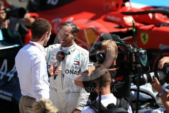 World © Octane Photographic Ltd. Formula 1 – French GP. Qualifying. Mercedes AMG Petronas Motorsport AMG F1 W10 EQ Power+ - Lewis Hamilton. Paul Ricard Circuit, La Castellet, France. Saturday 22nd June 2019.