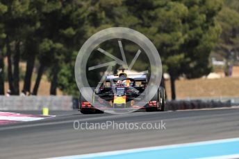 World © Octane Photographic Ltd. Formula 1 – French GP. Race. Aston Martin Red Bull Racing RB15 – Max Verstappen. Paul Ricard Circuit, La Castellet, France. Sunday 23rd June 2019.