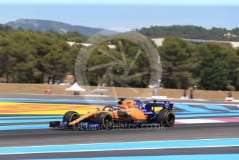 World © Octane Photographic Ltd. Formula 1 – French GP. Race. McLaren MCL34 – Carlos Sainz. Paul Ricard Circuit, La Castellet, France. Sunday 23rd June 2019.